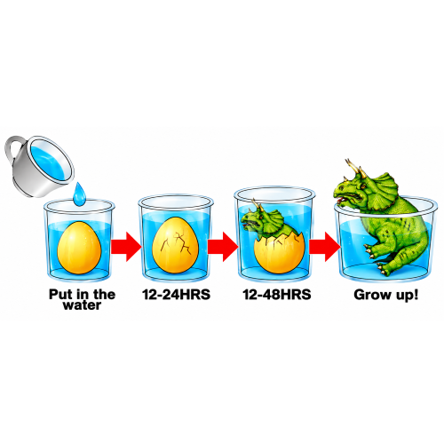 products/ChatGPT_Image_Sep_15_2026_09_35.png