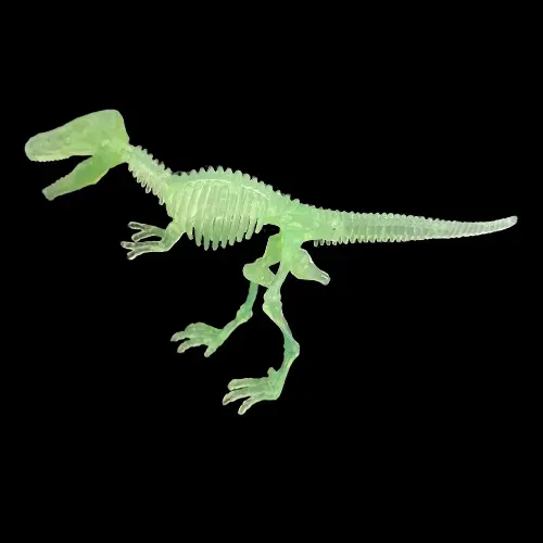 products/Glow_in_the_dark_dinosaur_1.webp