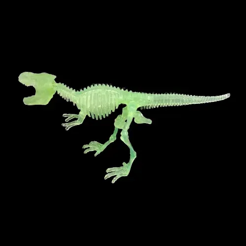 products/Glow_in_the_dark_dinosaur_2.webp