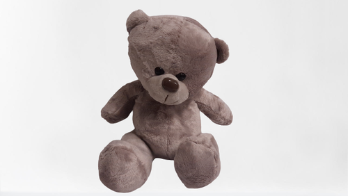products/Teddy_Bear_2CL2.png