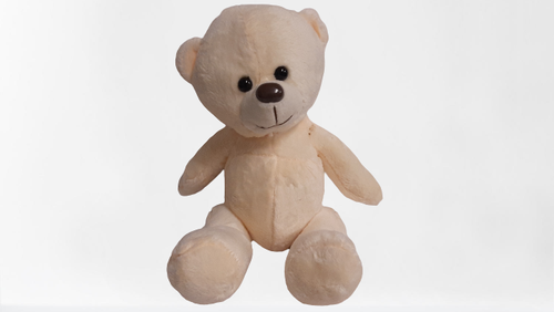 products/Teddy_Bear_2_CL_1.png