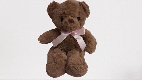 products/Teddy_Bear_30cm_Brown.png