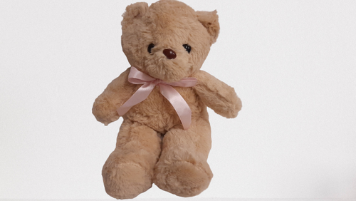 products/Teddy_Bear_30cm_Cream.png