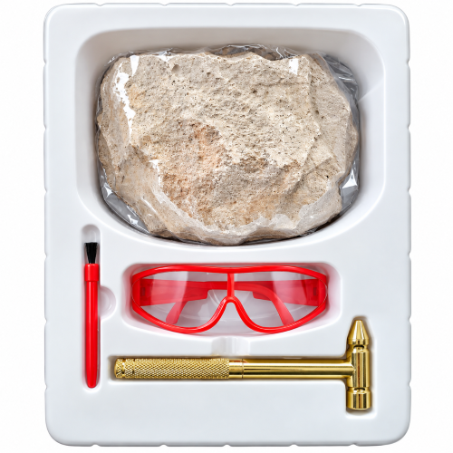 products/dino_excav_inside.png